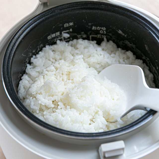 糖質カット炊飯器 4合 AINX Smart Rice Cooker （ 電気 炊飯器 炊飯ジャー 低糖質 炊飯 ジャー 調理 家電 米 ごはん  ヘルシー 健康 糖質｜au PAY マーケット