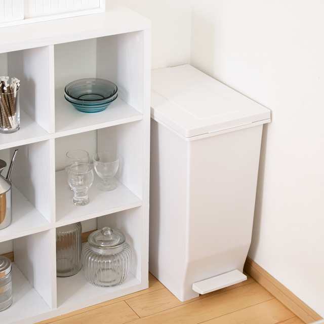 ゴミ箱 45L 同色2個セット 密閉ペダルペール エバン （ ごみ箱 45リットル 2個セット ニオイ漏れ 防止 密閉 スリム シンプル 分別 ペダル式 パッキン EBAN 袋止め付き 踏みふた ペダル 縦型 オムツペール キッチン ふた付き ）の通販は