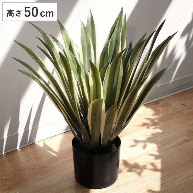 人工観葉植物 アガベ 50cm フェイクグリーン 造花 （ 観葉植物