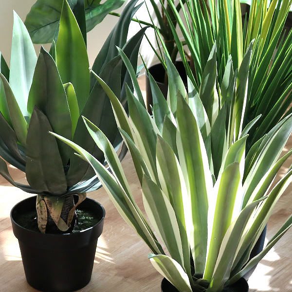 人工観葉植物 アガベ 53cm フェイクグリーン 造花 （ 観葉植物 フェイク 人工植物 アートグリーン 緑 グリーン 癒し リラックス 植木 樹木 人工 枯れない 水やり不要 簡単 おしゃれ インテリア 飾り プランター ）_11