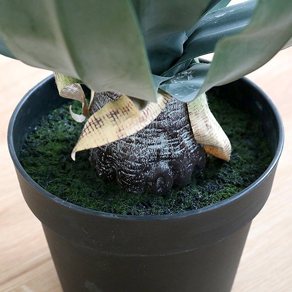 人工観葉植物 アガベ 53cm フェイクグリーン 造花 （ 観葉植物 フェイク 人工植物 アートグリーン 緑 グリーン 癒し リラックス 植木 樹木 人工 枯れない 水やり不要 簡単 おしゃれ インテリア 飾り プランター ）_5
