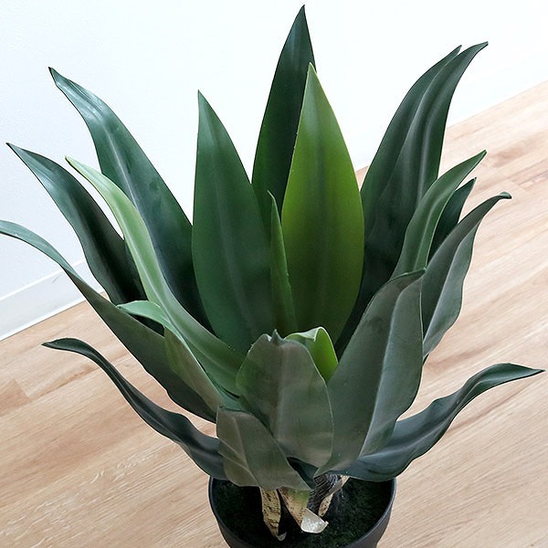人工観葉植物 アガベ 53cm フェイクグリーン 造花 （ 観葉植物 フェイク 人工植物 アートグリーン 緑 グリーン 癒し リラックス 植木 樹木 人工 枯れない 水やり不要 簡単 おしゃれ インテリア 飾り プランター ）_6