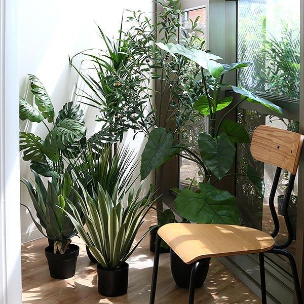 人工観葉植物 ドラセナ 84cm フェイクグリーン 造花 （ 観葉植物