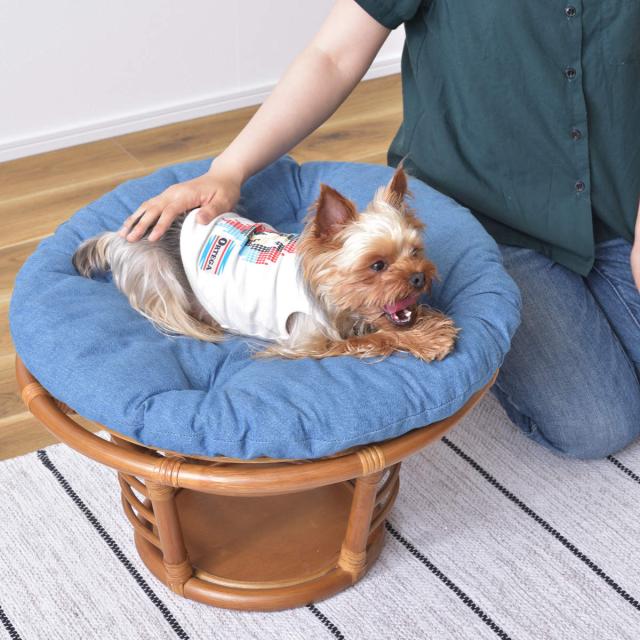 ペットスツール　藤　ラタン ペットハウススツール ラタン調 天然木 小型犬 猫用 クッション