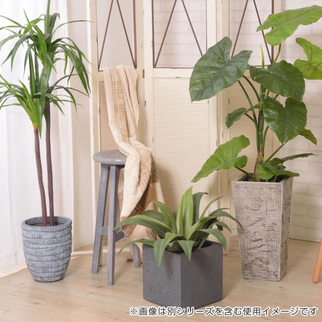 プランター グリーンベース 幅25×奥行25×高さ25.5cm （ 植木鉢