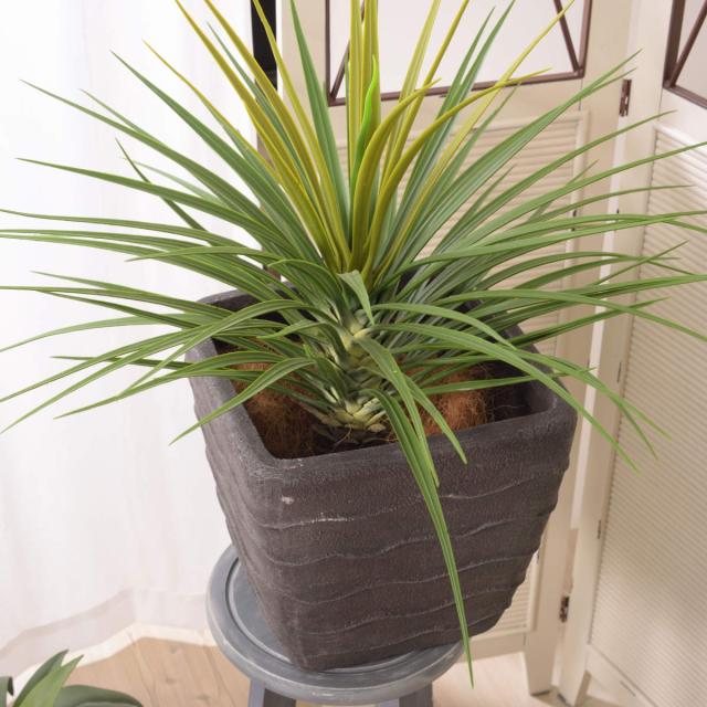 プランター グリーンベース 幅31×奥行31×高さ28.5cm （ 植木鉢