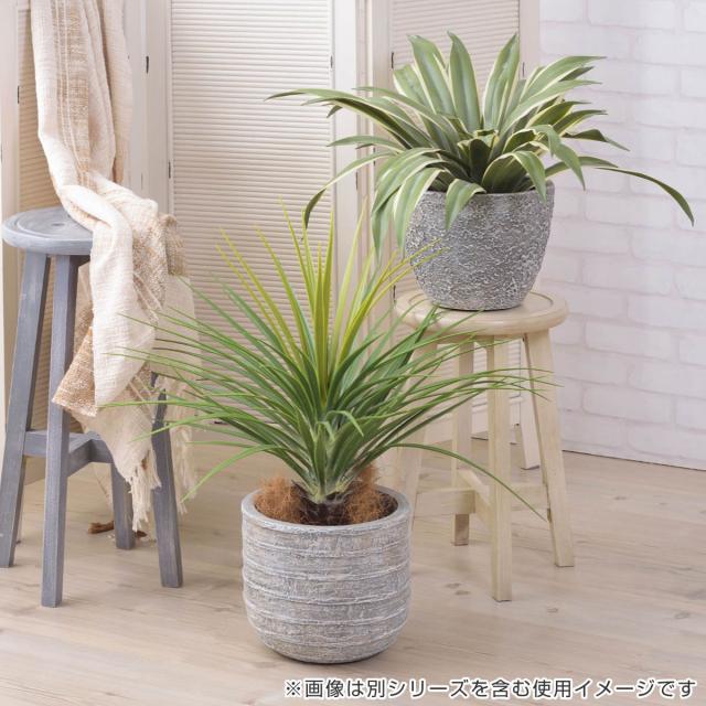 プランター グリーンベース 直径31×高さ25cm （ 植木鉢 プラントポット