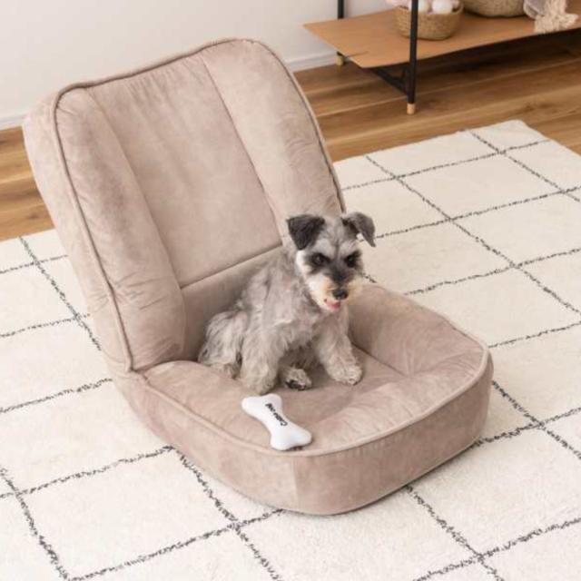 座椅子 1人用 幅54cm リクライニング式 フロアチェア ペット対応生地 （ 耐摩耗 防水加工 ペット チェア ペットソファ もちもち ふんわり ベロア調 くすみカラー おしゃれ ）