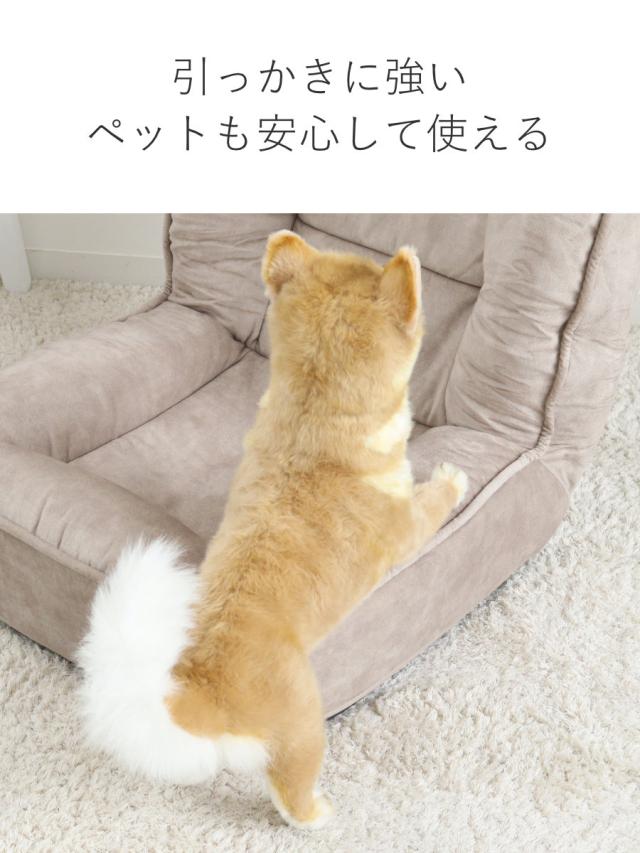 座椅子 1人用 幅54cm リクライニング式 フロアチェア ペット対応生地 （ 耐摩耗 防水加工 ペット チェア ペットソファ もちもち ふんわり ベロア調 くすみカラー おしゃれ ）