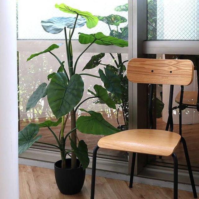 人工観葉植物 クワズイモ 117cm フェイクグリーン 造花 （ 観葉植物 