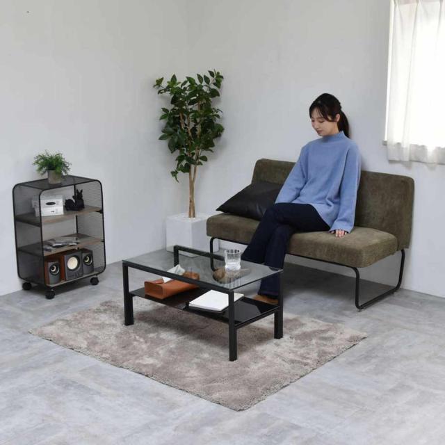 センターテーブル 幅75cm ガラス天板 収納棚付 Arca （ ローテーブル