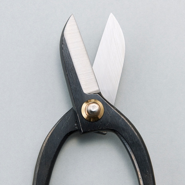 サビ取り 300ml ジェル スプレー 密着 サビ取り先生 錆 除去 自転車 ハサミ 掃除 洗剤 さび取り 錆び サビ さび落とし クリーナー もの通販はau Pay マーケット お弁当グッズのカラフルbox