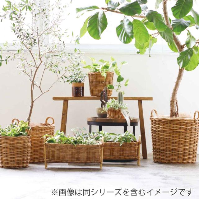 プランターバスケット 10号鉢用 アラログ （ かご カゴ ラタン 天然