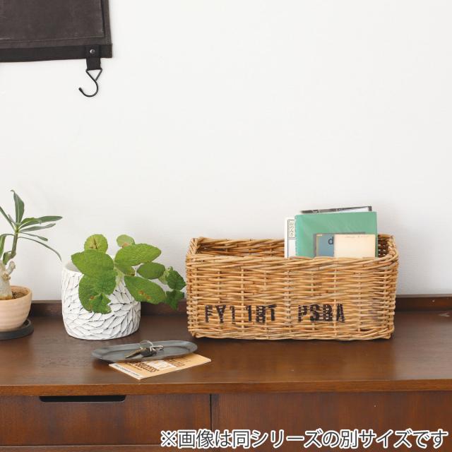 バスケット ポストジェネラル ストレージボックス L バイ・ジ