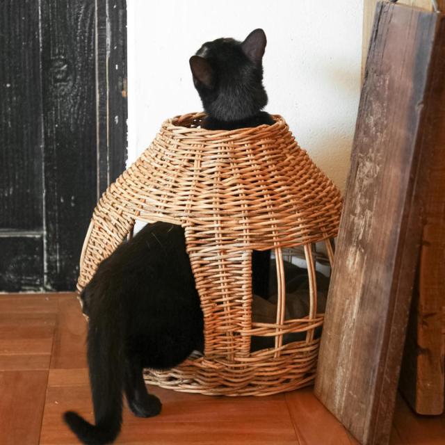 ベッド 猫 キャットハウス ドーム ラタン （ ペットハウス 猫ハウス