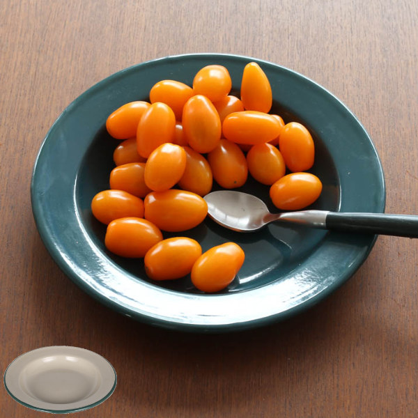 アウトドア 食器 お皿 ダルトン Dulton 直径20 6cm アウトドア食器 キャンプ食器 プレート 皿 ホーロープレート ホーロー 臭い 付きにの通販はau Pay マーケット リビングート