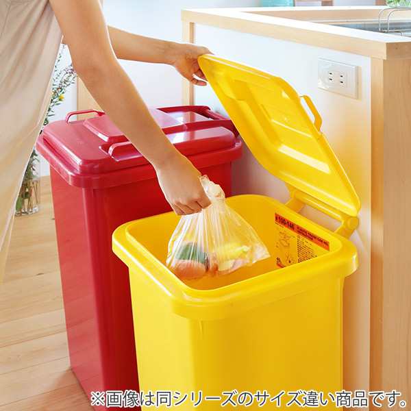 ゴミ箱 18L ダルトン DULTON 屋外兼用 プラスチックトラッシュカン （ ごみ箱 18リットル 蓋つき キャスター付き 排水栓 キッチン  リビン｜au PAY マーケット