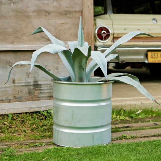 ダルトン 鉢 ガルバナイズド タンク M ( DULTON 鉢カバー ダルトン 鉢 ガルバナイズド タンク M ( DULTON 鉢カバー