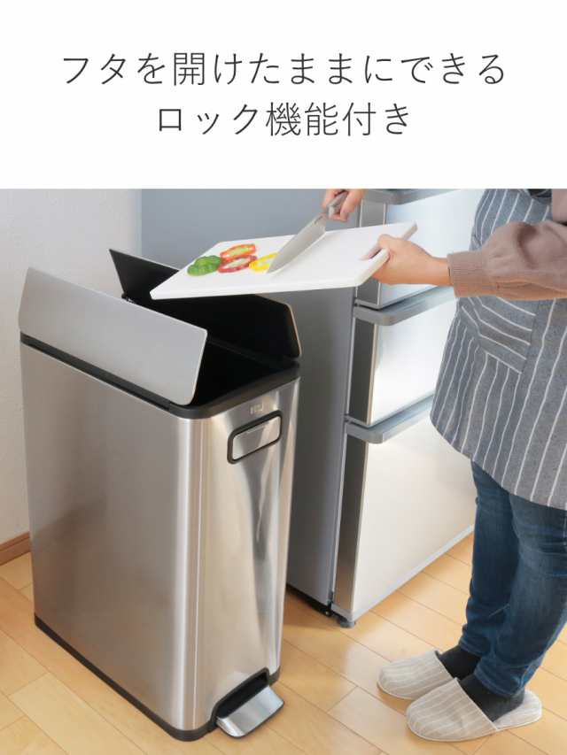 EKO ゴミ箱 45L エコフライ ステップビン ペダル （ イーケーオー