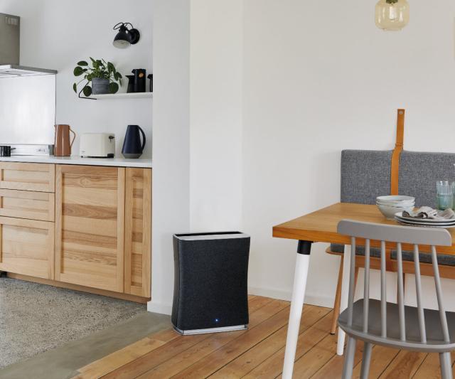 空気清浄機 Stadler Form Roger 2 ファン集塵方式 （ 空気清浄器 約39