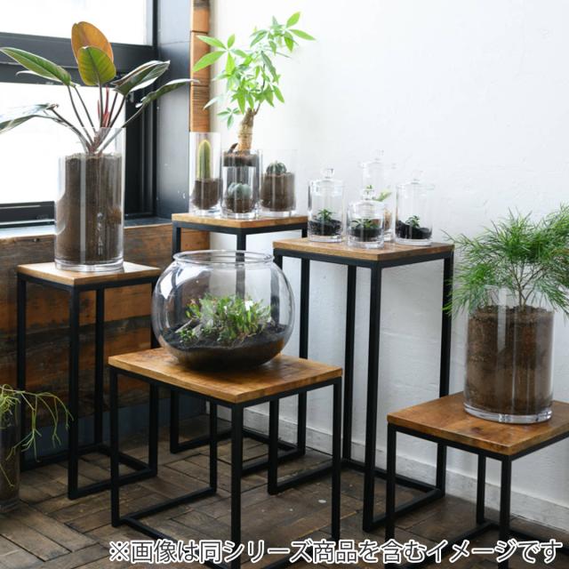 花瓶 割れないガラス PV球形 直径49.5×高さ37.5cm （ 花びん 花器 フラワーベース 球型 丸 鉢 透明 割れない ポリカーボネート プラ クリア 花 植物 植木鉢 苔 グリーン 金魚鉢型 インテリア おしゃれ 丈夫 ）_3