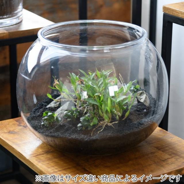 花瓶 割れないガラス PV球形 直径49.5×高さ37.5cm （ 花びん 花器 フラワーベース 球型 丸 鉢 透明 割れない ポリカーボネート プラ クリア 花 植物 植木鉢 苔 グリーン 金魚鉢型 インテリア おしゃれ 丈夫 ）_4