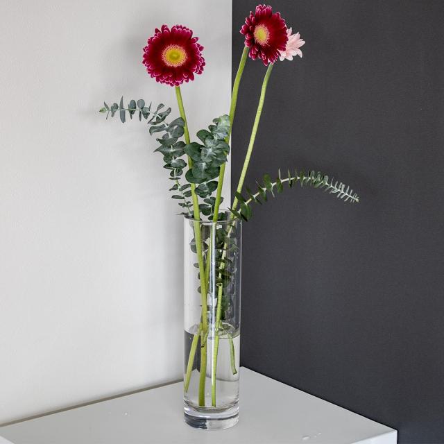 花瓶 PVシリンダー 直径8×高さ30cm （ 花びん 花器 シリンダー