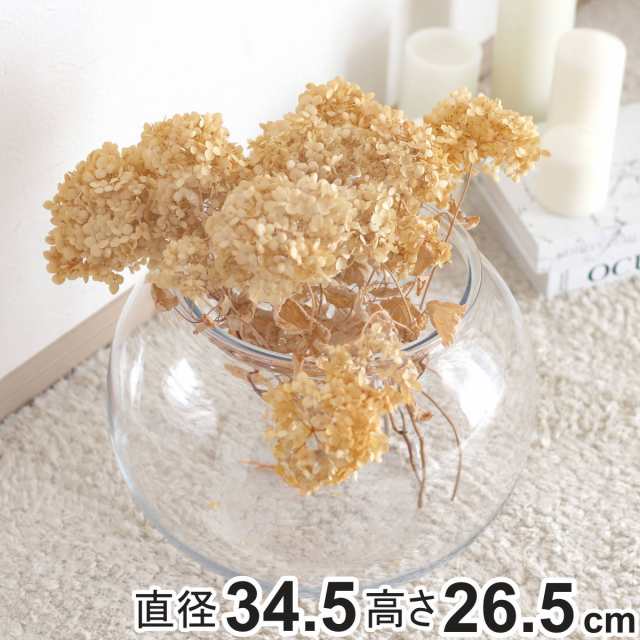 花瓶 割れないガラス PV球形 直径34.5×高さ26.5cm （ 花びん 花器 フラワーベース 球型 丸 鉢 透明 割れない ポリカーボネート プラ クリア 花 植物 植木鉢 苔 グリーン 金魚鉢型 インテリア おしゃれ 丈夫 ）の通販は花瓶