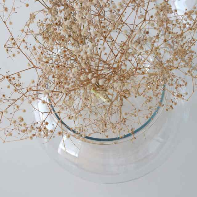 花瓶 割れないガラス PV球形 直径34.5×高さ26.5cm （ 花びん 花器 フラワーベース 球型 丸 鉢 透明 割れない ポリカーボネート プラ クリア 花 植物 植木鉢 苔 グリーン 金魚鉢型 インテリア おしゃれ 丈夫 ）の通販は
