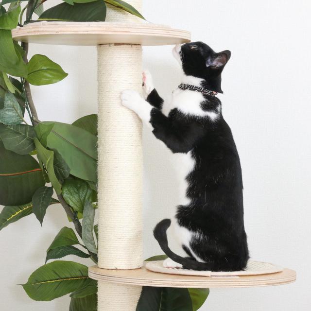 キャットタワー ねこの休ら木 ソラ 爪とぎ 突っ張り （ キャットツリー