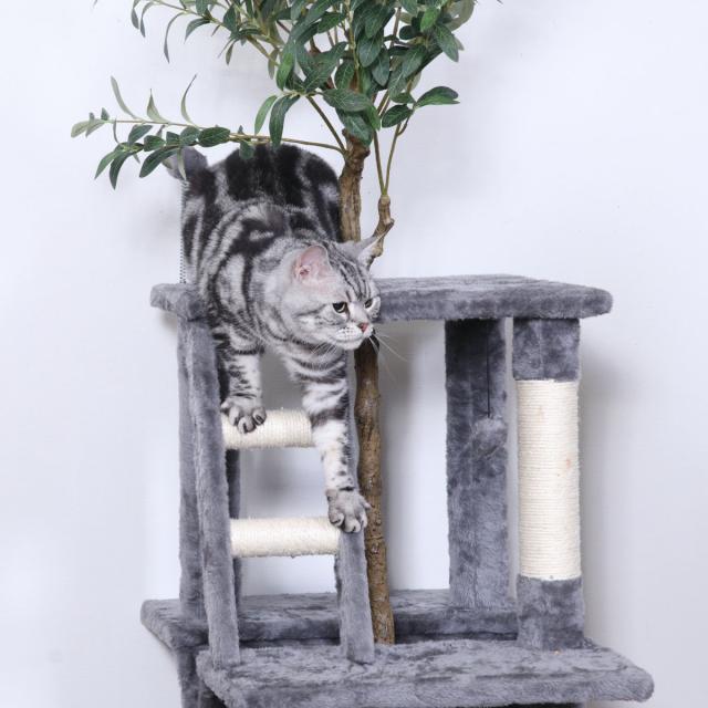 キャットタワー 木製天然木高さ164cm頑丈据え置き隠れ家 キャットタワー 木製天然木高さ164cm頑丈据え置き隠れ家