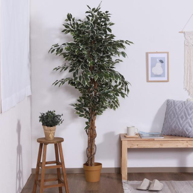 光触媒　人工観葉植物　フェイクグリーン　ソードファンスタンプウッド 送料別途】ｿｰﾄﾞﾌｧﾝ ｽﾀﾝﾌﾟｳｯﾄﾞ: フェイクグリーン ｜ YDM