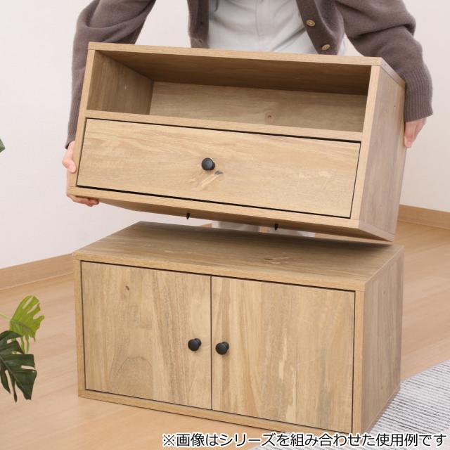 インナーボックス EZBO コネクトボックス 引き出し １段 （ 幅60×奥行32×高さ31cm 収納棚 収納ボックス オープンラック ラック 収納 ボックス BOX 棚 小物 簡単組立 連結可能 おしゃれ シンプル 書類 横長 リビング収納 ） その他ケース・ボックス・小物