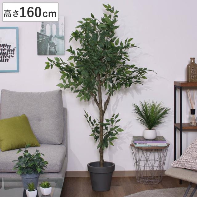 フェイクグリーン フィカス 高さ160cm ジョイント式 （ 人工観葉植物 大型 樹木 造花 人工樹木 観葉植物 アートグリーン 水やり不要 お手入れ簡単 植物 フェイク 木 樹 リビング 玄関 インテリア グリーン 枯れない お祝い ）