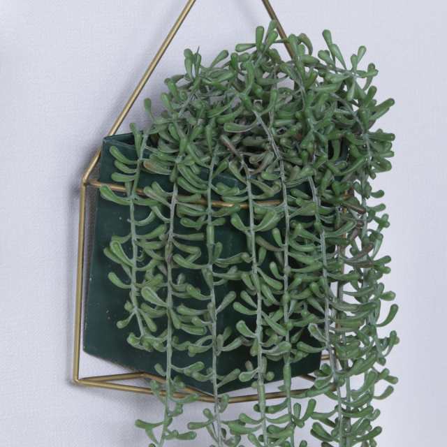 フェイクグリーン ミカヅキネックレス ハンギング 吊り下げ （ 人工観葉植物 造花 植物 観葉植物 吊るす 壁掛け アートグリーン  水やり不の通販はau PAY マーケット リビングート au PAY マーケット－通販サイト
