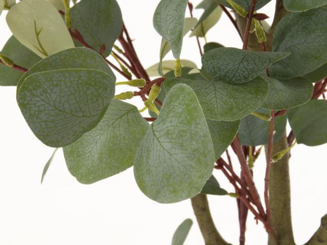 フェイクグリーン ユーカリ 高さ150cm ジョイント式 （ 人工観葉植物 大型 樹木 造花 人工樹木 観葉植物 アートグリーン 水やり不要 お手入れ簡単 植物 フェイク 木 樹 リビング 玄関 インテリア グリーン 枯れない お祝い ） 花・観葉植物・盆栽