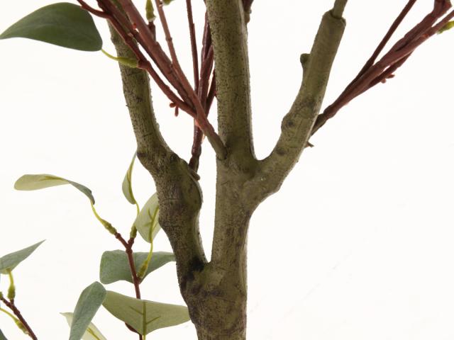 フェイクグリーン ユーカリ 高さ150cm ジョイント式 （ 人工観葉植物 大型 樹木 造花 人工樹木 観葉植物 アートグリーン 水やり不要 お手入れ簡単 植物 フェイク 木 樹 リビング 玄関 インテリア グリーン 枯れない お祝い ） 花・観葉植物・盆栽