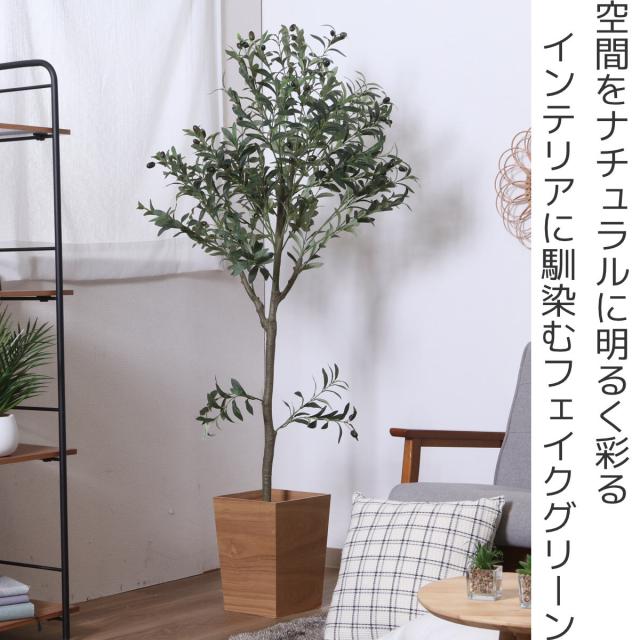 フェイクグリーン オリーブ 高さ150cm ジョイント式 （ 人工観葉植物 大型 樹木 造花 人工樹木 観葉植物 アートグリーン 水やり不要 お手入れ簡単 植物 フェイク 木 樹 リビング 玄関 インテリア グリーン 枯れない お祝い ）_1