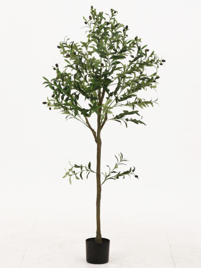 フェイクグリーン オリーブ 高さ150cm ジョイント式 （ 人工観葉植物 大型 樹木 造花 人工樹木 観葉植物 アートグリーン 水やり不要 お手入れ簡単 植物 フェイク 木 樹 リビング 玄関 インテリア グリーン 枯れない お祝い ）_3
