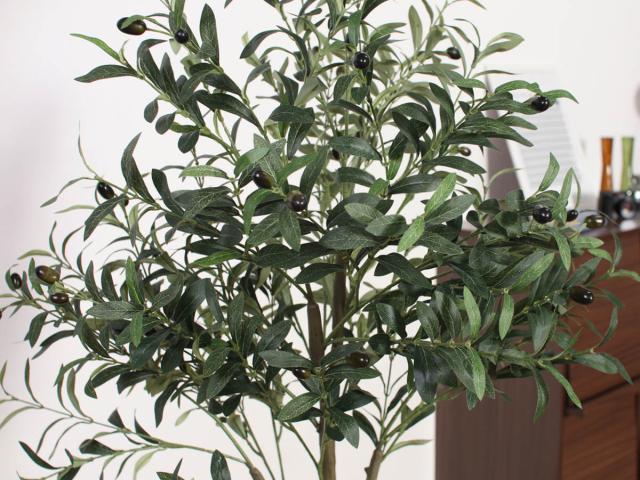 フェイクグリーン オリーブ 高さ150cm ジョイント式 （ 人工観葉植物 大型 樹木 造花 人工樹木 観葉植物 アートグリーン 水やり不要 お手入れ簡単 植物 フェイク 木 樹 リビング 玄関 インテリア グリーン 枯れない お祝い ）_5