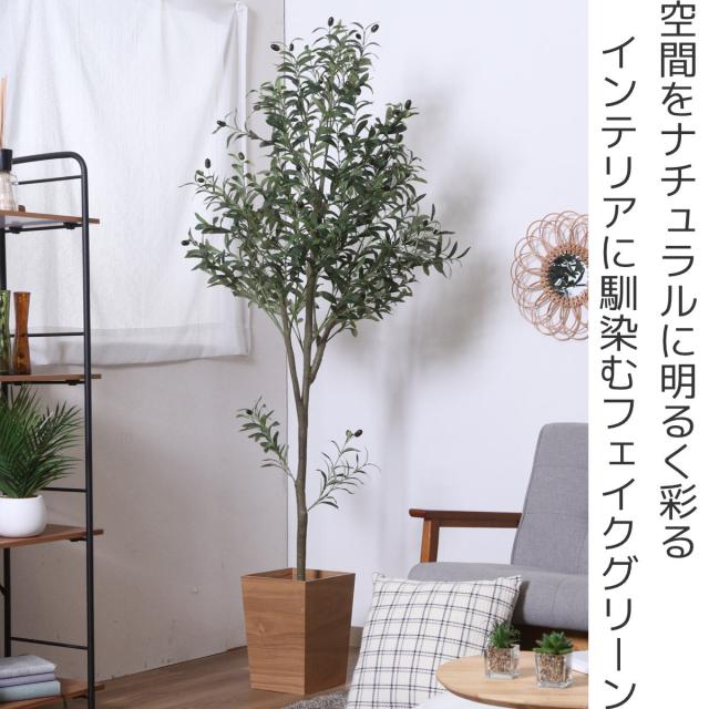 フェイクグリーン オリーブ 高さ180cm ジョイント式 （ 人工観葉植物 大型 樹木 造花 人工樹木 観葉植物 アートグリーン 水やり不要 お手入れ簡単 植物 フェイク 木 樹 リビング 玄関 インテリア グリーン 枯れない お祝い ）_1