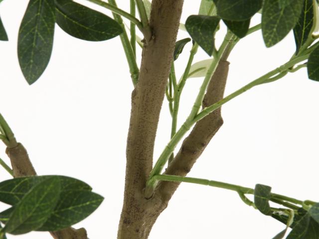 フェイクグリーン オリーブ 高さ180cm ジョイント式 （ 人工観葉植物 大型 樹木 造花 人工樹木 観葉植物 アートグリーン 水やり不要 お手入れ簡単 植物 フェイク 木 樹 リビング 玄関 インテリア グリーン 枯れない お祝い ）_12