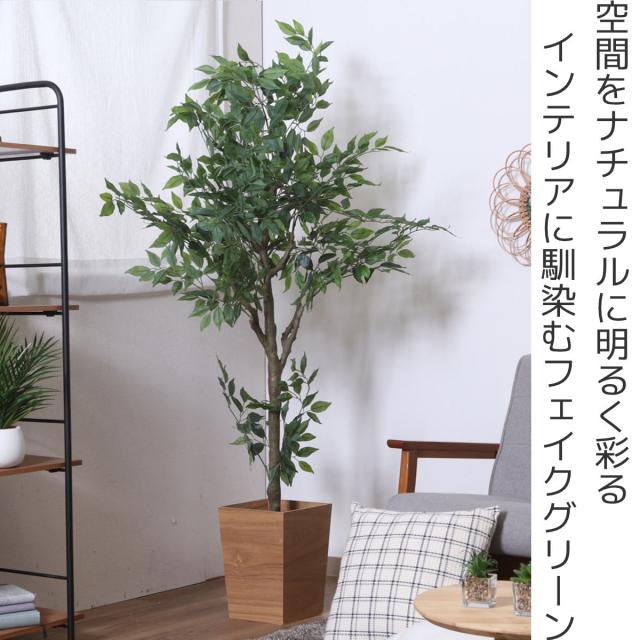 フェイクグリーン フィカス 高さ160cm ジョイント式 （ 人工観葉植物 大型 樹木 造花 人工樹木 観葉植物 アートグリーン 水やり不要 お手入れ簡単 植物 フェイク 木 樹 リビング 玄関 インテリア グリーン 枯れない お祝い ）_1