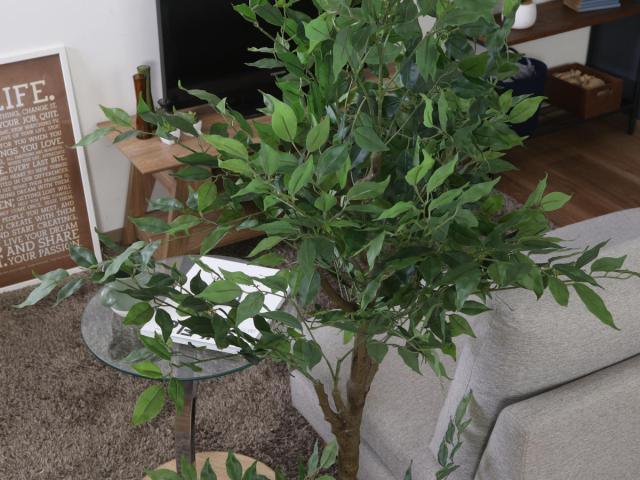 フェイクグリーン フィカス 高さ160cm ジョイント式 （ 人工観葉植物 大型 樹木 造花 人工樹木 観葉植物 アートグリーン 水やり不要 お手入れ簡単 植物 フェイク 木 樹 リビング 玄関 インテリア グリーン 枯れない お祝い ）_11