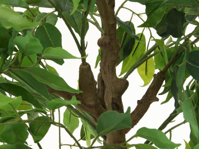 フェイクグリーン フィカス 高さ160cm ジョイント式 （ 人工観葉植物 大型 樹木 造花 人工樹木 観葉植物 アートグリーン 水やり不要 お手入れ簡単 植物 フェイク 木 樹 リビング 玄関 インテリア グリーン 枯れない お祝い ）_12