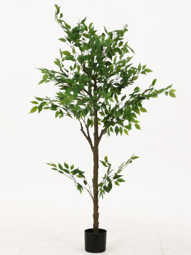 フェイクグリーン フィカス 高さ160cm ジョイント式 （ 人工観葉植物 大型 樹木 造花 人工樹木 観葉植物 アートグリーン 水やり不要 お手入れ簡単 植物 フェイク 木 樹 リビング 玄関 インテリア グリーン 枯れない お祝い ）_3