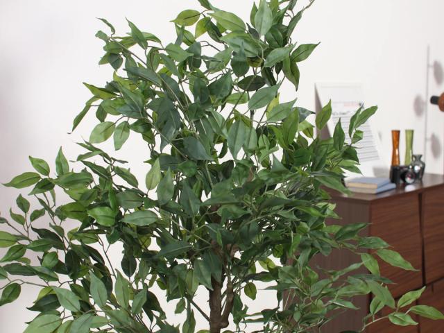 フェイクグリーン フィカス 高さ160cm ジョイント式 （ 人工観葉植物 大型 樹木 造花 人工樹木 観葉植物 アートグリーン 水やり不要 お手入れ簡単 植物 フェイク 木 樹 リビング 玄関 インテリア グリーン 枯れない お祝い ）_5