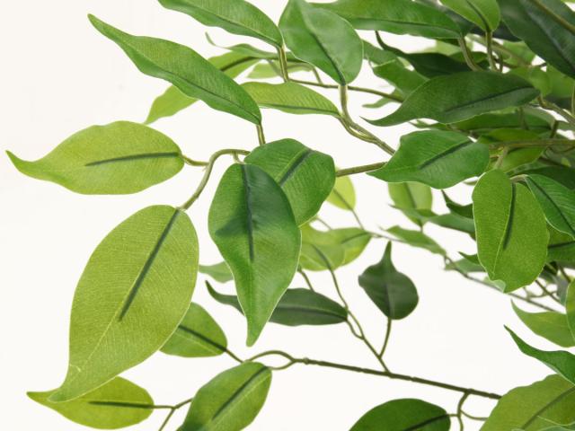 フェイクグリーン フィカス 高さ160cm ジョイント式 （ 人工観葉植物 大型 樹木 造花 人工樹木 観葉植物 アートグリーン 水やり不要 お手入れ簡単 植物 フェイク 木 樹 リビング 玄関 インテリア グリーン 枯れない お祝い ）_6