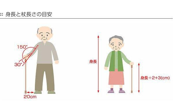 杖 かるがも ステッキ ロータリー 折りたたみ 女性 介護 （ 5段階調節 折り畳み コンパクト 衝撃吸収 つえ ツエ アルミ製 花柄 外出 福祉散歩 滑りにくい 立ち上がりやすい 立ち上がり補助 転倒防止 ）