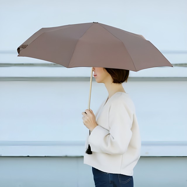 折りたたみ傘 GUY DE JEAN FoldingUmbrella （ ギドゥジャン 折り畳み